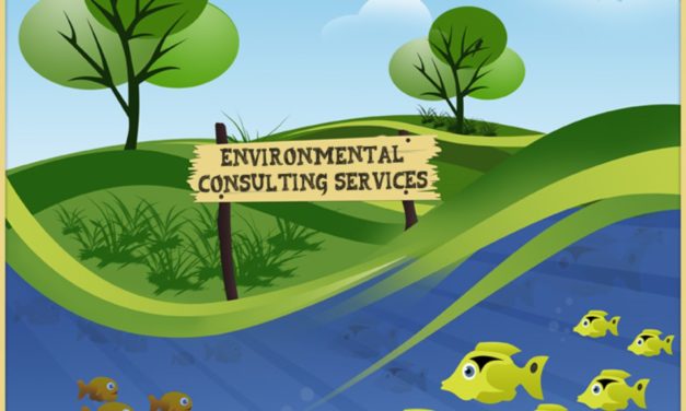 ENVIRONMENTAL CONSULTING SERVICES