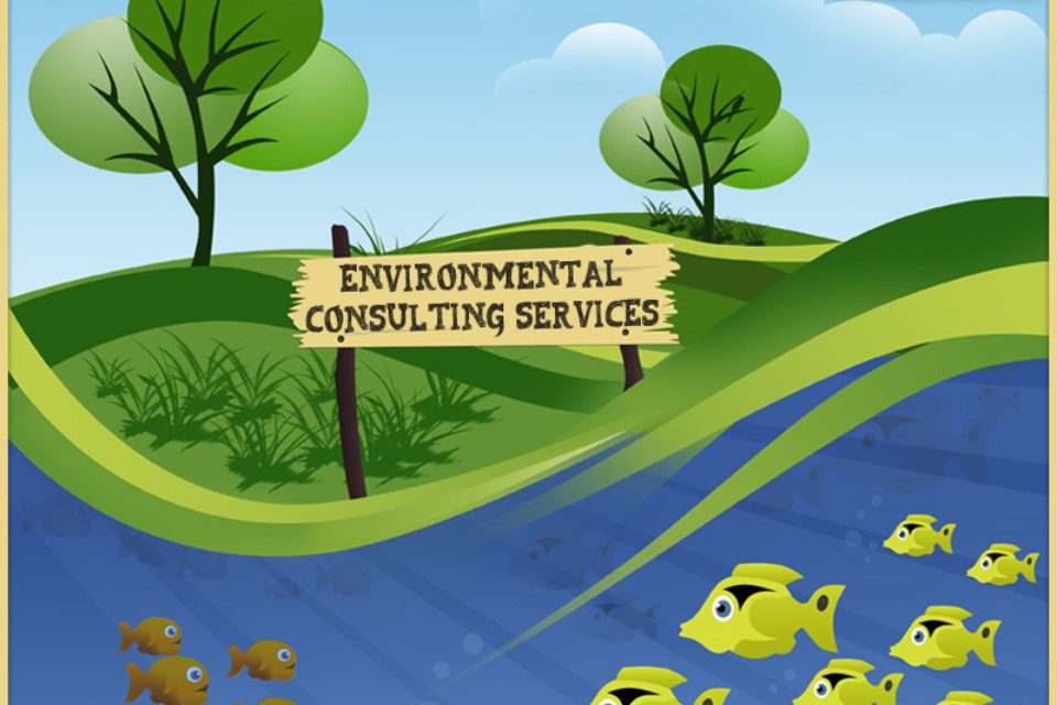 ENVIRONMENTAL CONSULTING SERVICES