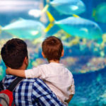 ADVERTISING STRATEGIES FOR ZOOS AND AQUARIUMS 2018
