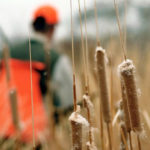 5 THINGS SPORTSMEN NEED TO KNOW ABOUT THE UPCOMING FARM BILL 