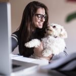 NEW CHALLENGES FOR PET FOOD SALES GROWTH (www.petfoodindustry.com)