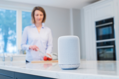 MORE PEOPLE WITH SMART SPEAKERS
