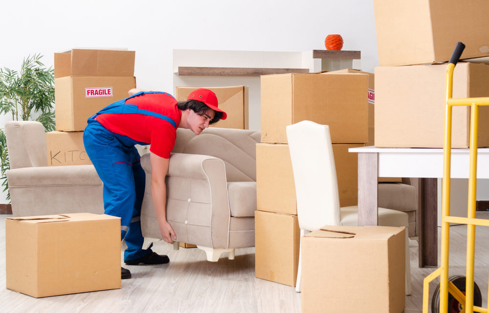 MOVING & STORAGE INDUSTRY 2019
