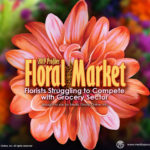 Floral Market 2019 Presentation