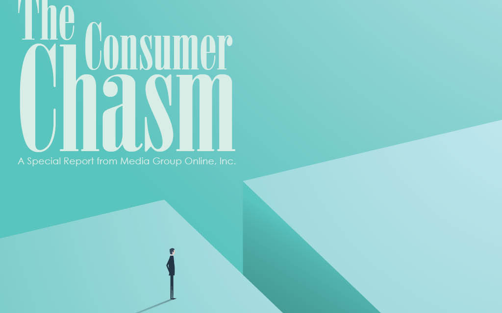 The Consumer Chasm