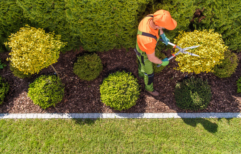 Advertising Strategies for Landscaping Services 2020