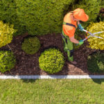 Advertising Strategies for Landscaping Services 2020