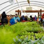 Enriching Communities Through Gardening