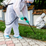 Advertising Strategies for Exterminating & Pest Control Services 2020
