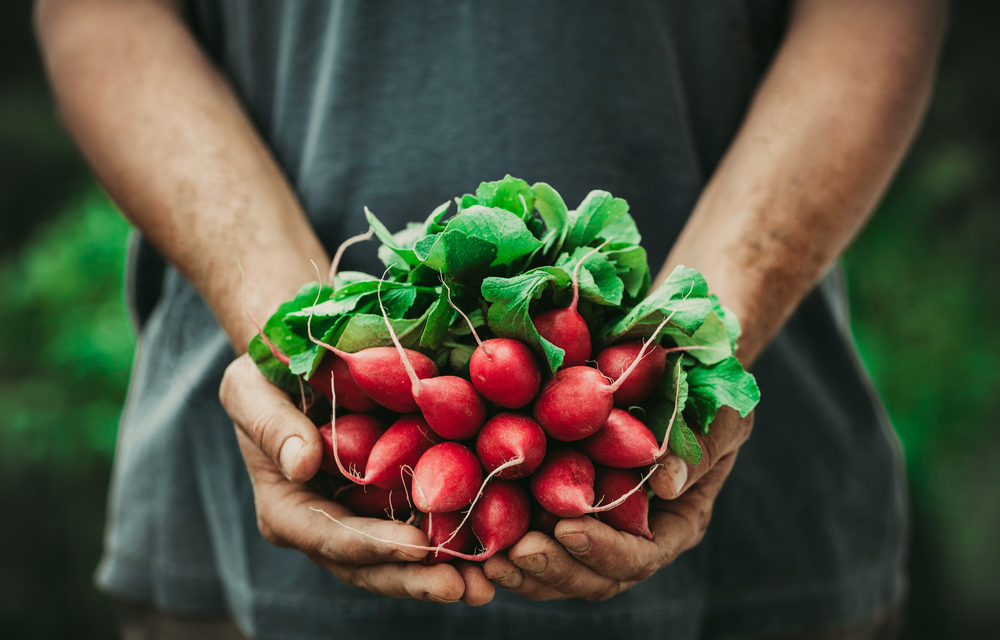 Natural & Organic Food Market 2020