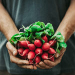 Natural & Organic Food Market 2020
