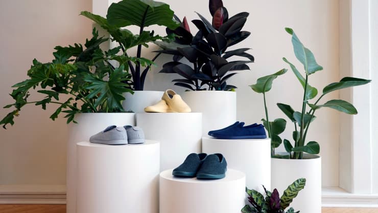 Sustainable Shoe Maker Allbirds Files for IPO and Reveals Continued Losses