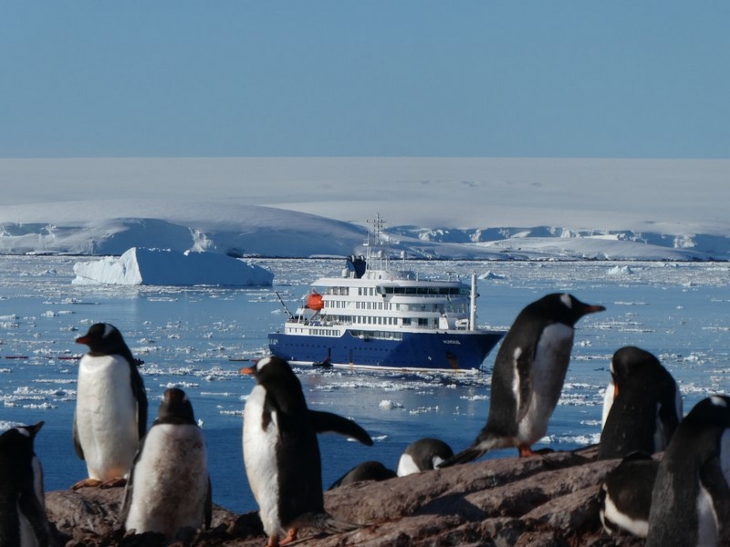 Antarctica Bound: Oceanwide Ships Sail South