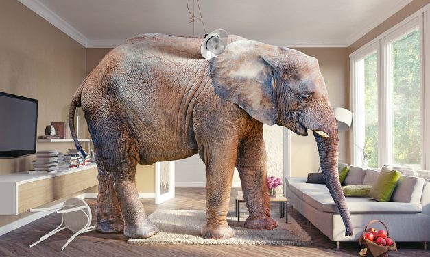 How to Handle the “Elephant in the Middle of The Living Room”