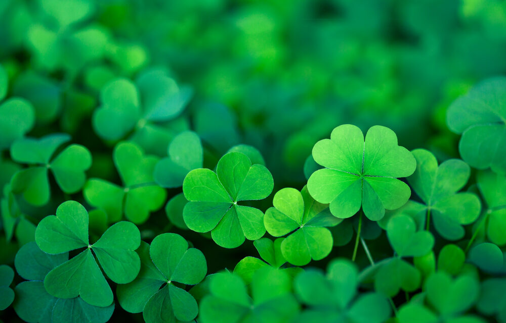 How to Become “Lucky” in Your Career and Life