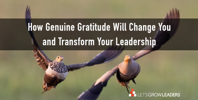 True Gratitude – More Than Pleasantries or Recognition