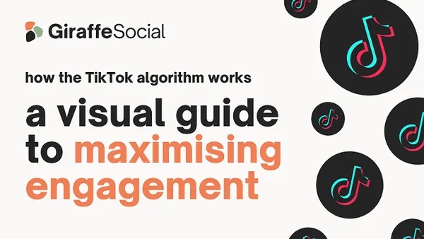 How the TikTok Algorithm Works [Infographic]